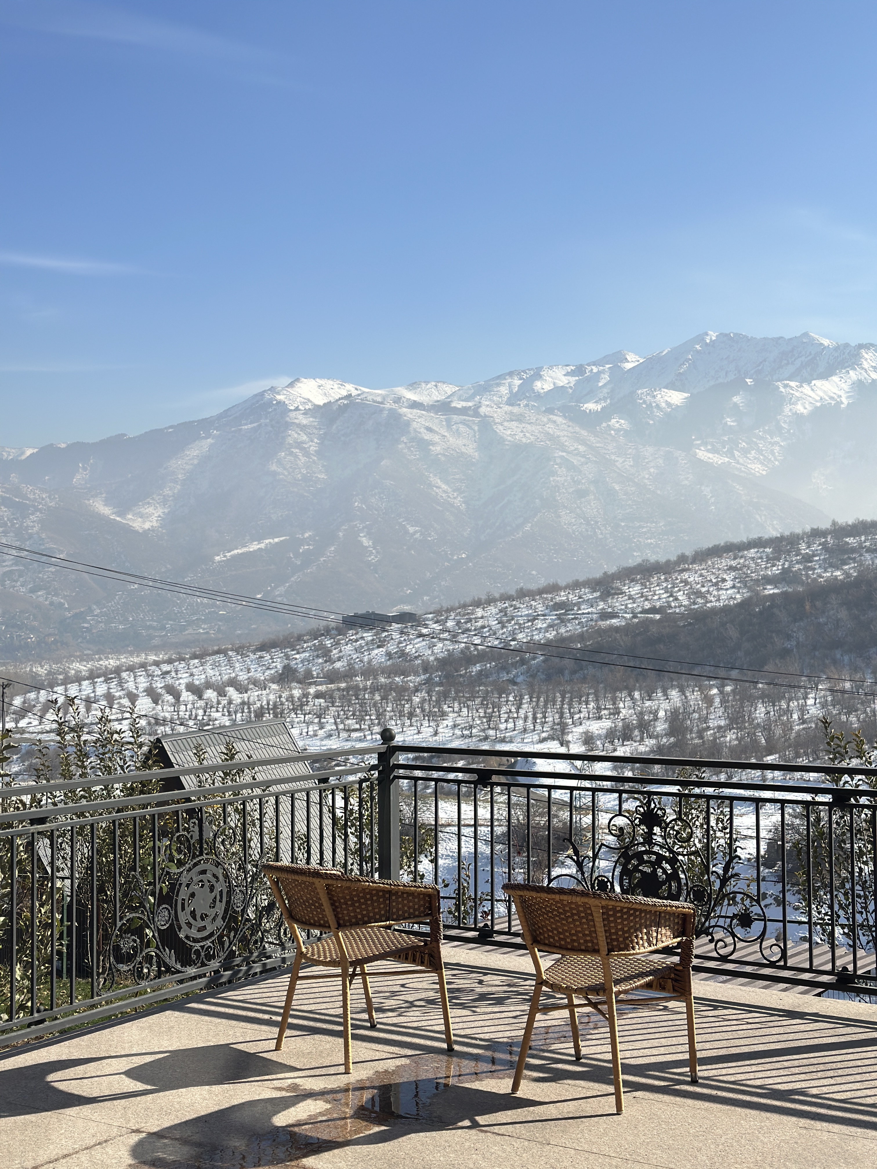 Премиальный эко-отель ProMama